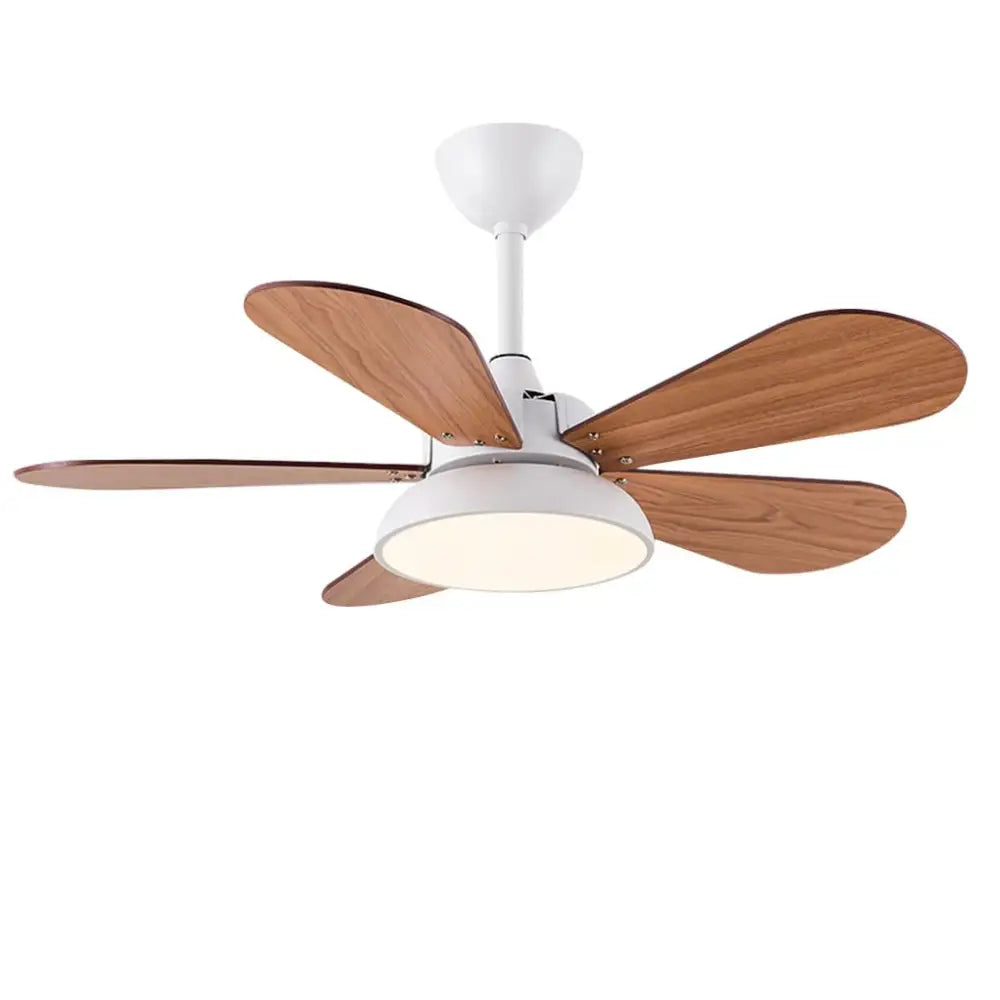 Nordic Cartoon Noiseless Kids Ceiling Fan with Lights - Lighting > Fans