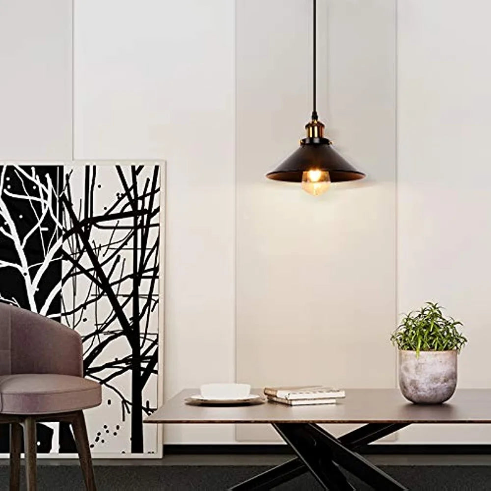 Vintage Industrial Pendant Light Retro Black Lamp 1B1